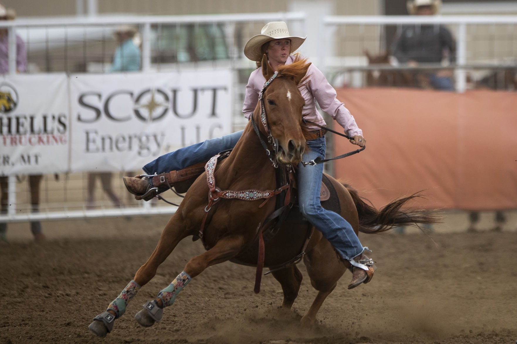Montana High School Rodeo Association state championships